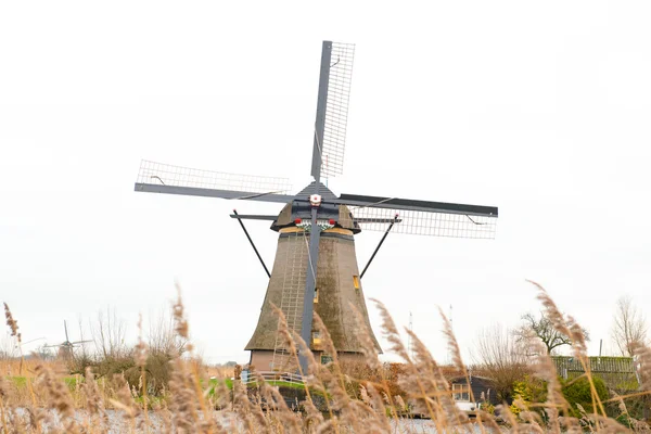 Traditionelle holländische Windmühle — Stockfoto