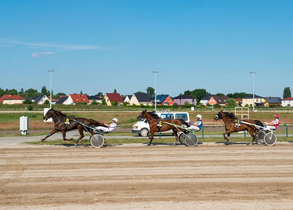 Harness Racing, Berlin — Stock Photo, Image