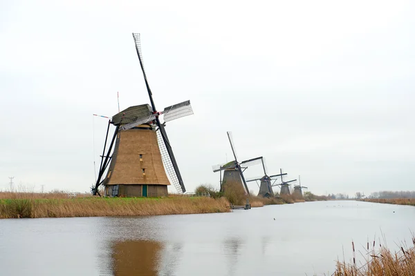 Geleneksel Hollanda yel değirmeni — Stok fotoğraf