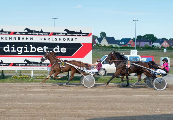 Trabrennsport, Berlin — Stockfoto