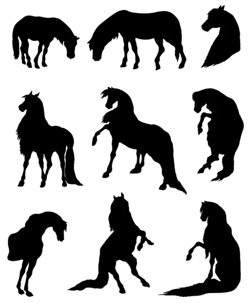 Collection of silhouettes of horses — Stock Vector