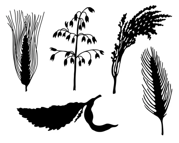 koniler siluetleri topluluğu