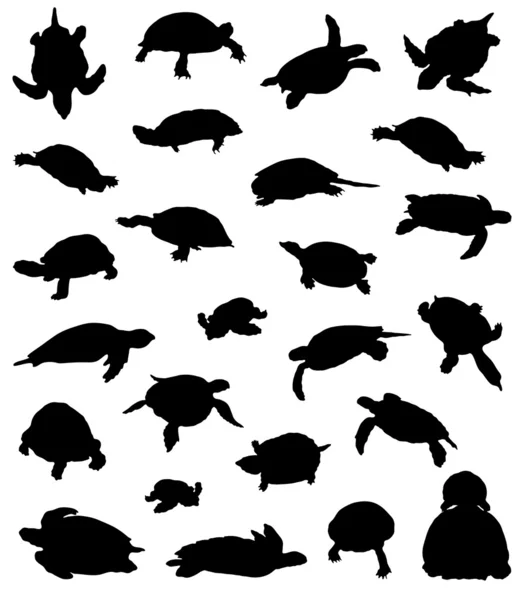 kaplumbağaları siluetleri büyük toplama