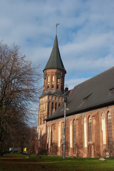 Catedral de Emanuel Kant — Foto de Stock