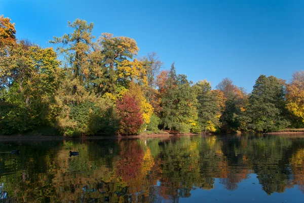 Parque de otoño — Foto de Stock