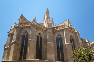 La Seu