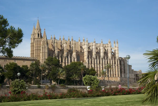 La Seu. — Foto de Stock