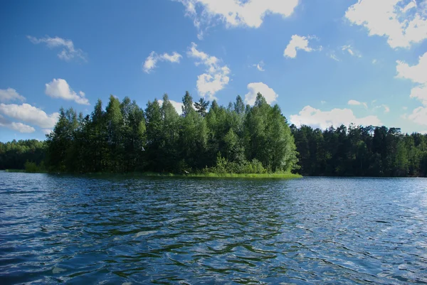Lago forestale — Foto Stock