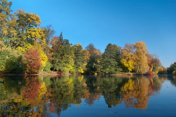 Herfstpark — Stockfoto