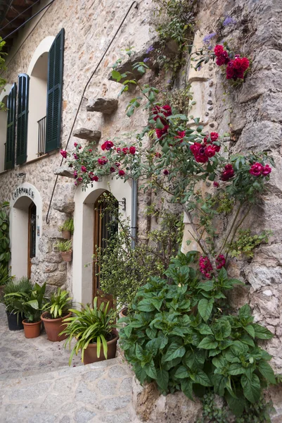 Valldemossa — Stok fotoğraf