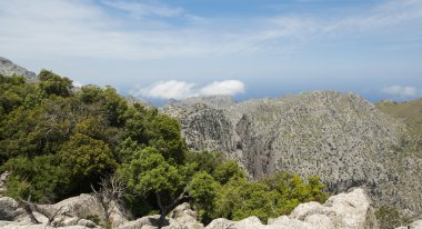Serra de Tramuntana