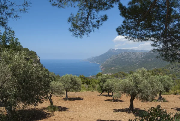 La côte de la mer Méditerranée — Photo