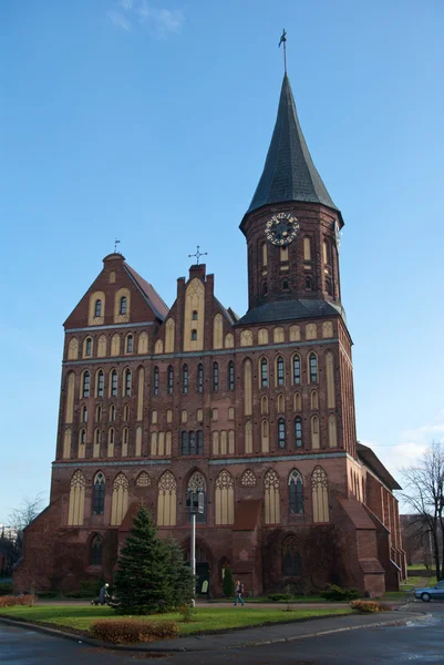 Cattedrale di Immanuel Kant — Foto Stock