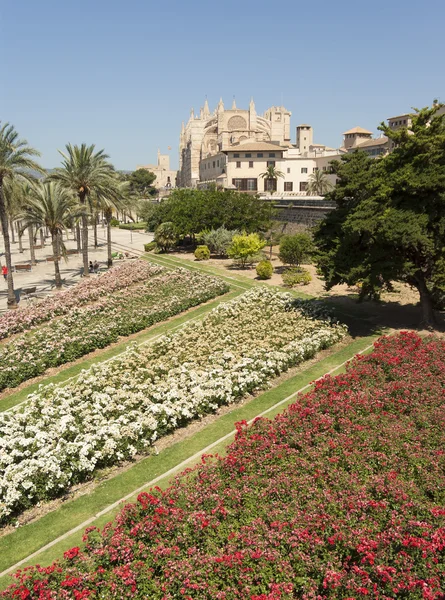 La Seu — Stock Photo, Image