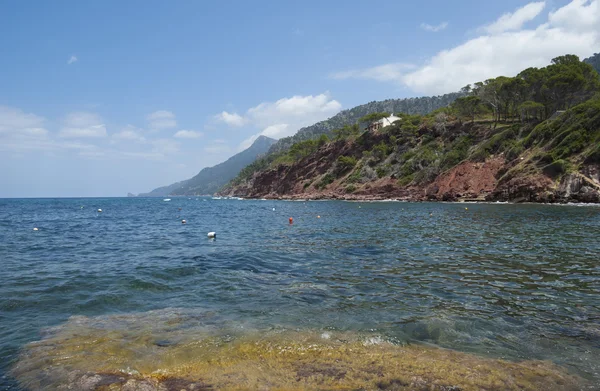 Akdeniz kıyıları. — Stok fotoğraf