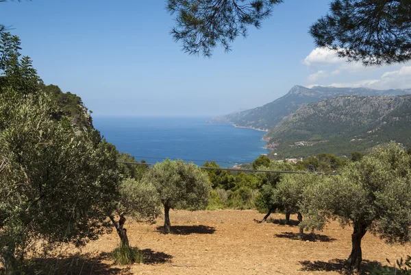 La côte de la mer Méditerranée — Photo