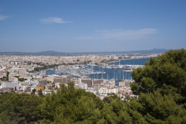 bir Palma de mallorca