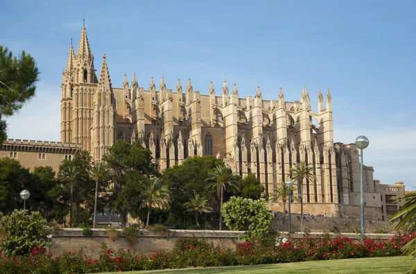 La Seu — Foto Stock