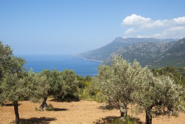 Akdeniz kıyıları.