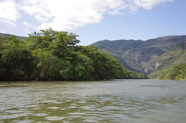 Sumidero — Photo