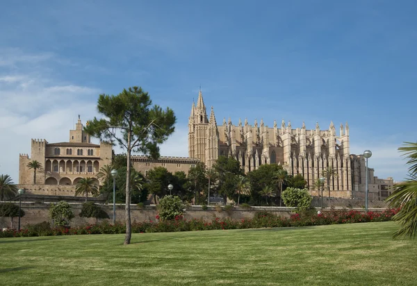 La Seu. — Foto de Stock