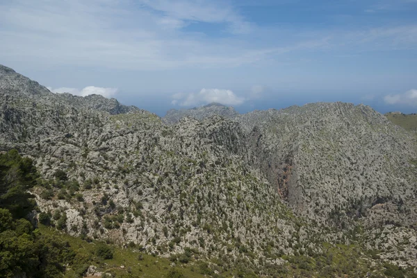 塞拉德 tramuntana — 图库照片