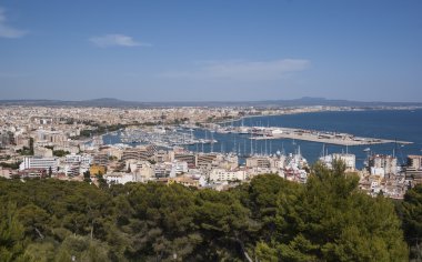 bir Palma de mallorca