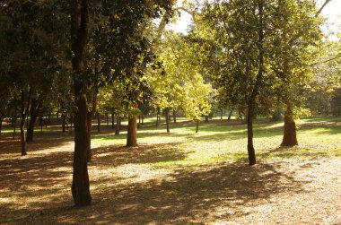 Villa Borghese