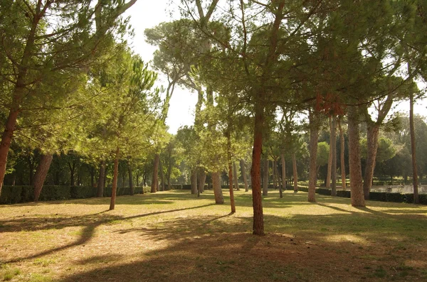 Villa Borghese — Stock fotografie