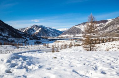 Altay dağlarının kışın manzarası, Sibirya, Rusya