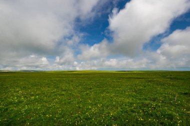 Rusya 'nın Karachay-Çerkesya Cumhuriyeti' ndeki Bermamyt Platosu 'nun panoramik manzarası