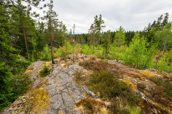 Uitzicht Berg Hiidenvuori Karelië Republiek Karelië Rusland — Stockfoto