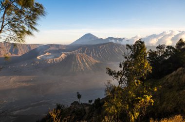 Bromo Tengger Semeru Ulusal Parkı Doğu Java, Endonezya