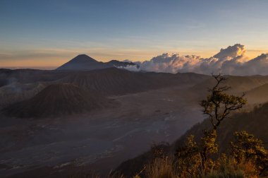 Bromo Tengger Semeru Ulusal Parkı Doğu Java, Endonezya