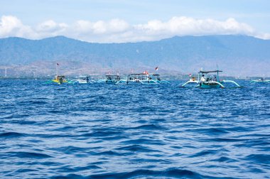 BALI, INDONEZYA - 16 Eylül 2018: Endonezya 'nın Lovina sahilindeki teknelerden yunus arayan turistler. Ziyaretçiler için popüler etkinlikler arasında sabah erken saatlerde yunusları görmek için tekne gezileri yer alıyor.