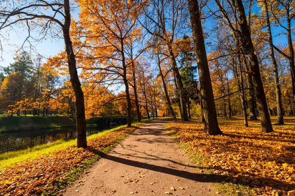 Vista Del Parque Ciudad Tsarskoye Selo Pushkin San Petersburgo Rusia — Foto de Stock