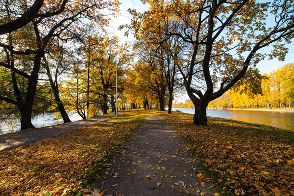 Vista Del Parque Ciudad Isla Elagin San Petersburgo Rusia —  Fotos de Stock