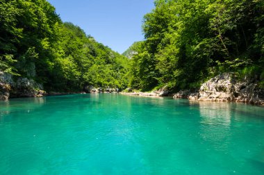 Tara Nehri Kanyonu, diğer adıyla Tara Nehri Vadisi, Avrupa 'nın en büyük ve en derin kanyonu.
