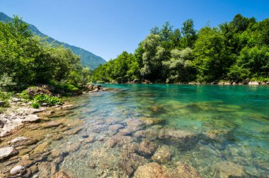 Tara Nehri Kanyonu, diğer adıyla Tara Nehri Vadisi, Avrupa 'nın en büyük ve en derin kanyonu.