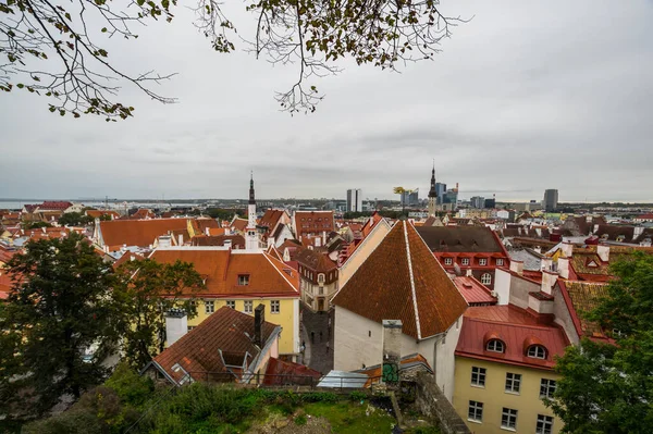 Panoramatický Pohled Staré Tallinn Hlavní Město Estonska Staré Město Zapsáno — Stock fotografie