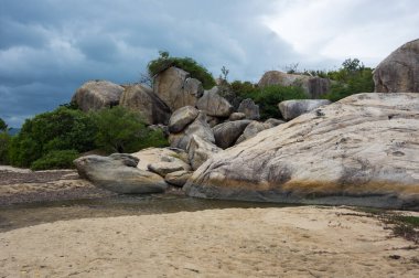 Vietnam 'daki Nha Trang Körfezi' ndeki Orkide Adası manzarası
