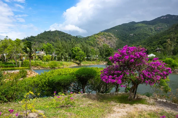 Vista Isla Orquídea Bahía Nha Trang Vietnam — Foto de Stock