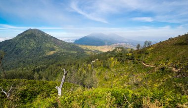 Doğu Java, Endonezya 'daki Ijen volkanının yamacı