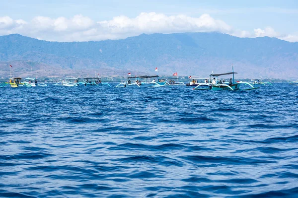 Bali Indonesia Settembre 2018 Turisti Cerca Delfini Dalle Barche Sulla — Foto Stock