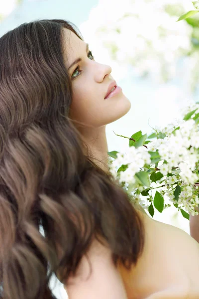 Penteado — Fotografia de Stock