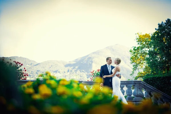 Amor — Fotografia de Stock