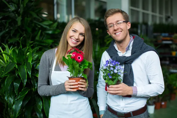 In store flowers — Stock Photo, Image