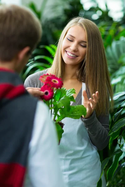 In de winkel bloemen — Stockfoto