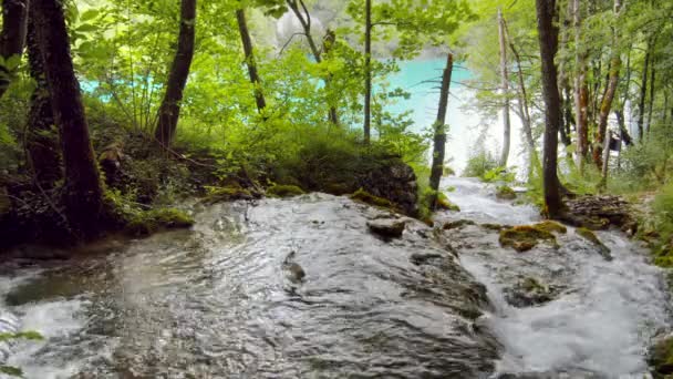 Cascade van watervallen in Nationaal Park Plitvice — Stockvideo