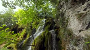 Pletvice Ulusal Parkı 'nda Şelale Şelaleleri